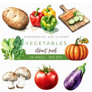 Clipart de légume, aquarelle PNG, art du brocoli et de la carotte, graphiques de tomates, illustration de légumes mignons, conception de décoration de cuisine, téléchargement immédiat
