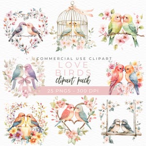 Watercolor Lovebirds Clipart, Romantic Birds PNG, Tropical Birds Art, Wedding Clipart, Valentine Graphics, Instant Download