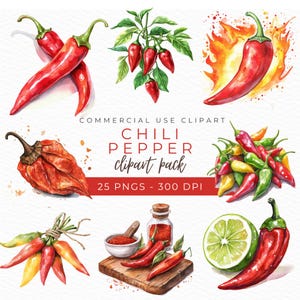 Chili Pepper Clipart, Spicy Food PNG, Chili Cookoff Illustration, Jalapeno Art, Pepper Clipart, Hot Pepper Sticker, Instant Download