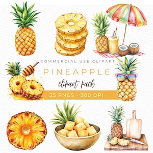 Ananas Clipart, Aquarell PNG, tropische Früchte, Ananas Rahmendesign, süße Vektor-Illustration, Sommer Dekor Grafiken, Sofort Download