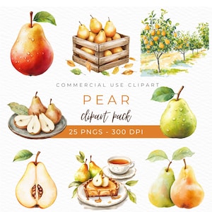 Clipart di pere, PNG acquerello, illustrazione di pere, arte della frutta raccolta, grafica botanica, design di pere verdi, decorazioni per la cucina, download immediato