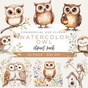 Pack de cliparts aquarelle chouette, illustrations de chouette mignonne, art oiseau des bois, graphiques de chouette forêt, 25 PNG, usage Commercial