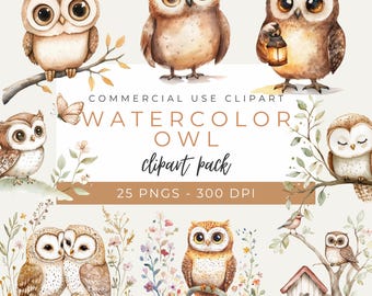 Aquarel uil clipartpakket, schattige uilillustraties, bosvogelkunst, bosuil-graphics, 25 png-bestanden, commercieel gebruik