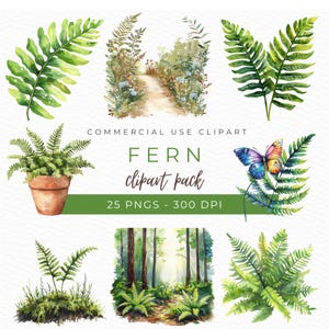 Clipart fougère, aquarelle PNG, illustration botanique, fougère décoration de mariage, graphiques nature rustique, esthétique bois, téléchargement immédiat
