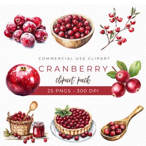 Cranberry Clipart, Aquarell PNG, Cranbeeren Illustration, Urlaub Beere Kunst, Obstkorb Grafiken, Herbst Dekor Design, Sofort Download