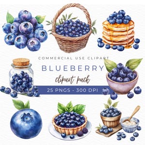 Blaubeere Clipart, Aquarell PNG, Blaubeerkuchen, Obstkorb Illustration, Smoothie Grafiken, Küche Dekor, Sofort Download