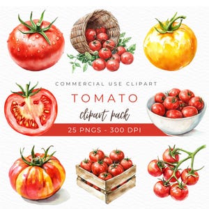 Puede incluir: Un conjunto de ilustraciones de acuarela de tomates en varias etapas de maduración. Las ilustraciones incluyen tomates enteros, tomates en rodajas, tomates en la vid y tomates en una cesta. Las ilustraciones son perfectas para usar en proyectos comerciales, como envases de alimentos, libros de recetas y gráficos de redes sociales.