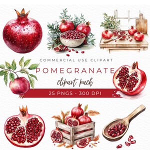 Granatapfel Clipart, Aquarell PNG, Granatapfel Illustration, Obstkorb Kunst, Blütengrafik, Granatapfel Poster, Sofort Download