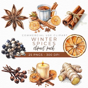 Winter Spice Clipart, Cinnamon Clipart, Mulled Wine PNG, Holiday Spice Art, Cozy Winter Graphics, Instant Download