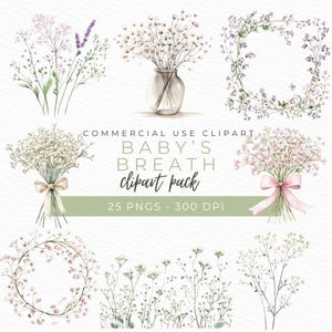 Clipart de flor de aliento de bebé, ramo de gypsophila PNG, arte floral en acuarela, gráficos de boda, clipart botánico, descarga instantánea