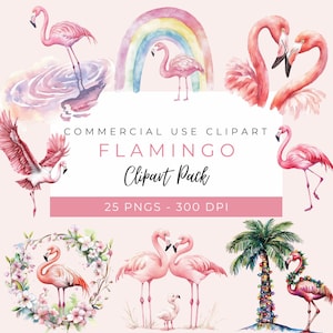 Set di clipart di fenicotteri, graziose illustrazioni di fenicotteri tropicali, arte di uccelli acquerellati, grafica estiva, download immediato di PNG