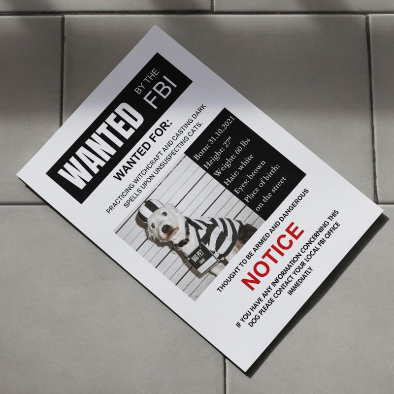 Halloween Backdrop Poster Etsy Halloween Backdrop Poster Etsy