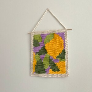 May include: A crocheted wall hanging with a geometric design in shades of yellow, green, and purple. The hanging is framed with a white crocheted border.