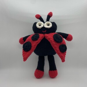 Lindsay Ladybeetle Ladybug