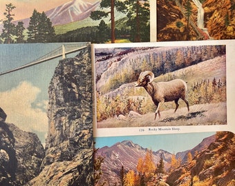 Set of Colorado vintage postcards RANDOM, Colorado postcard, Colorado national parks, Rocky Mountain national park, Colorado mountain print