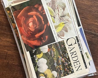 Vintage Floral Ephemera Paper Pack: Botanical Junk Journal Supplies