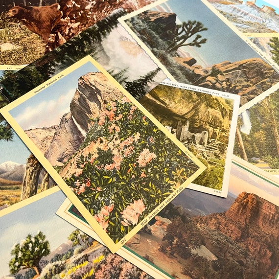 Vintage National Park Postcard Sets, unposted or posted packs