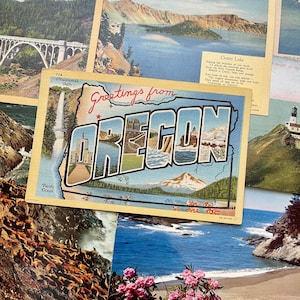 Surprise Set of Vintage Oregon Postcards: Pacific Northwest Travel