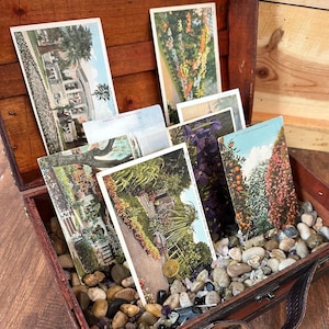 Vintage Postcard Set, Choose Your Theme, US States, Nature, Wedding, large lot image 6