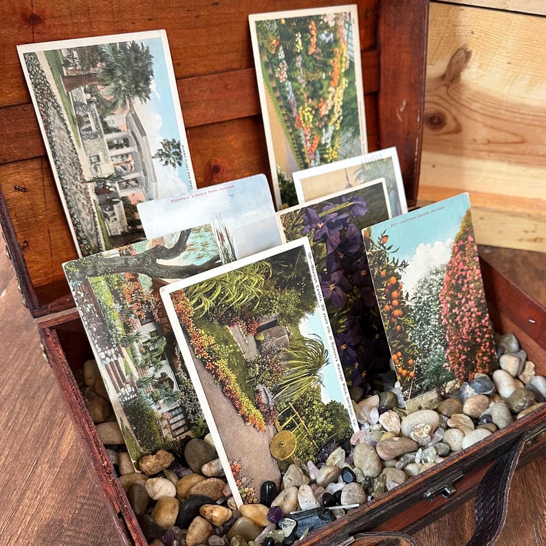 Vintage Postcard Set, Choose Your Theme, US States, Nature, Wedding, large lot image 6