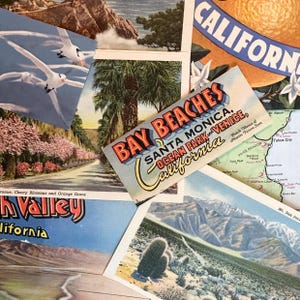 May include: A collection of vintage California postcards, featuring scenic views of beaches, palm trees, and mountains. One postcard reads "Bay Beaches Santa Monica, Ocean Park and Venice, California."