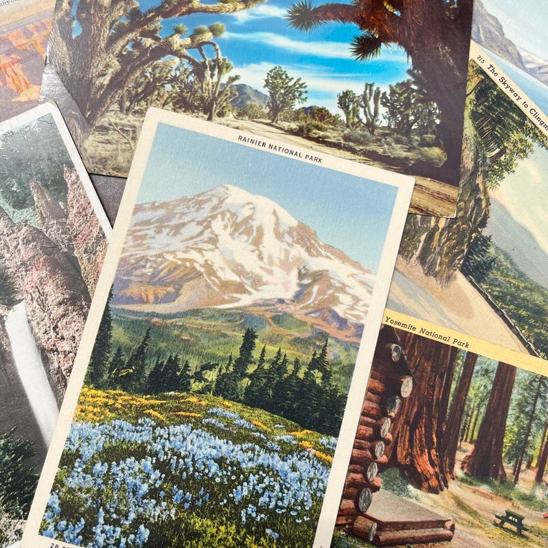 Puede incluir: Una colecci&oacute;n de postales antiguas con vistas panor&aacute;micas de parques nacionales. Las postales muestran una cordillera con picos cubiertos de nieve, un bosque con &aacute;rboles altos y un campo de flores silvestres azules. El texto en las postales dice "Rainier National Park" y "Yosemite National Park".