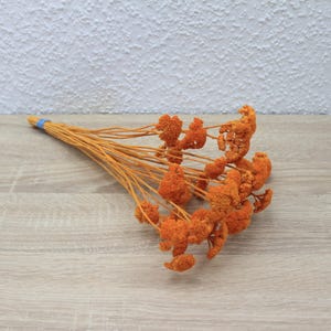 Könnte beinhalten: Ein Bund getrockneter orangefarbener Blumen mit dünnen Stielen, zusammengebunden mit einem blauen Band. Die Blumen haben ein strukturiertes, geclustertes Aussehen und liegen auf einer hellen Holzmaserung.