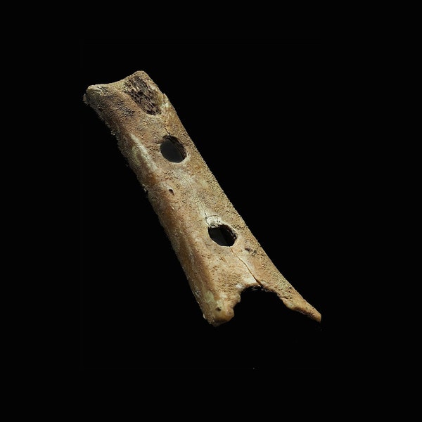 Neanderthal Flute Etsy