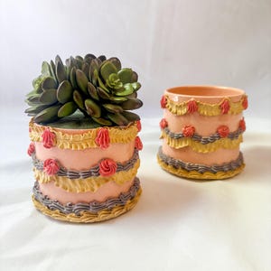 Pode incluir: Dois vasos em forma de bolo rosa e amarelo com uma planta suculenta em um deles. Os vasos têm um design em camadas com cobertura rosa, granulado amarelo e canos cinzentos.