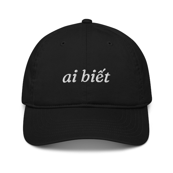 Vietnamese ai biết hat, embroidered organic baseball cap