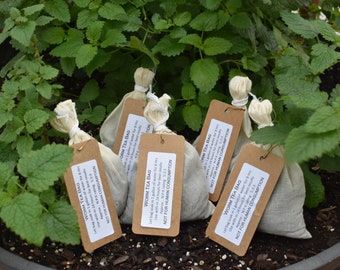 Worm Tea Bags - 100% organic fertilizer alternative
