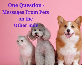 One Question - Messages from Pets on the Other Side