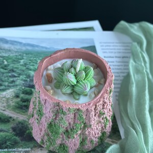 Peut inclure: Un petit pot rose texturé avec de la mousse verte et une plante succulente. La succulente a des feuilles rayées vertes et roses et repose sur un lit de petites pierres de couleur claire. Le pot est sur un magazine.