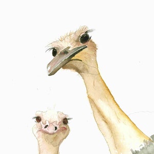 Watercolor Ostrich Poster