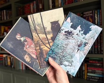 May include: Three rectangular books with illustrated covers. The left cover shows a person with a lion, the center cover features a black cat in a landscape, and the right cover depicts a figure in a snowy, icy environment with a starry night sky.