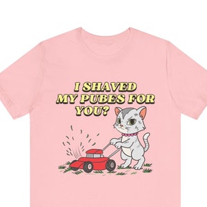 I Shaved My Pubes For You, Funny Women&#39;s Graphic Tee, Funny Shirt, Edgy Joke, Offensive Shirt, Funny Gift for Wife, Pubic Shirt, Funny Dirty