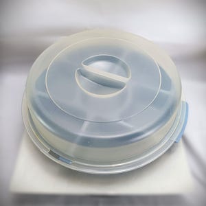 Rubbermaid Servin' Saver gesegmenteerde container jaren 80