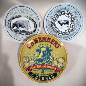 Vintage Cheese Plates Camembert, BIA French Language(3)