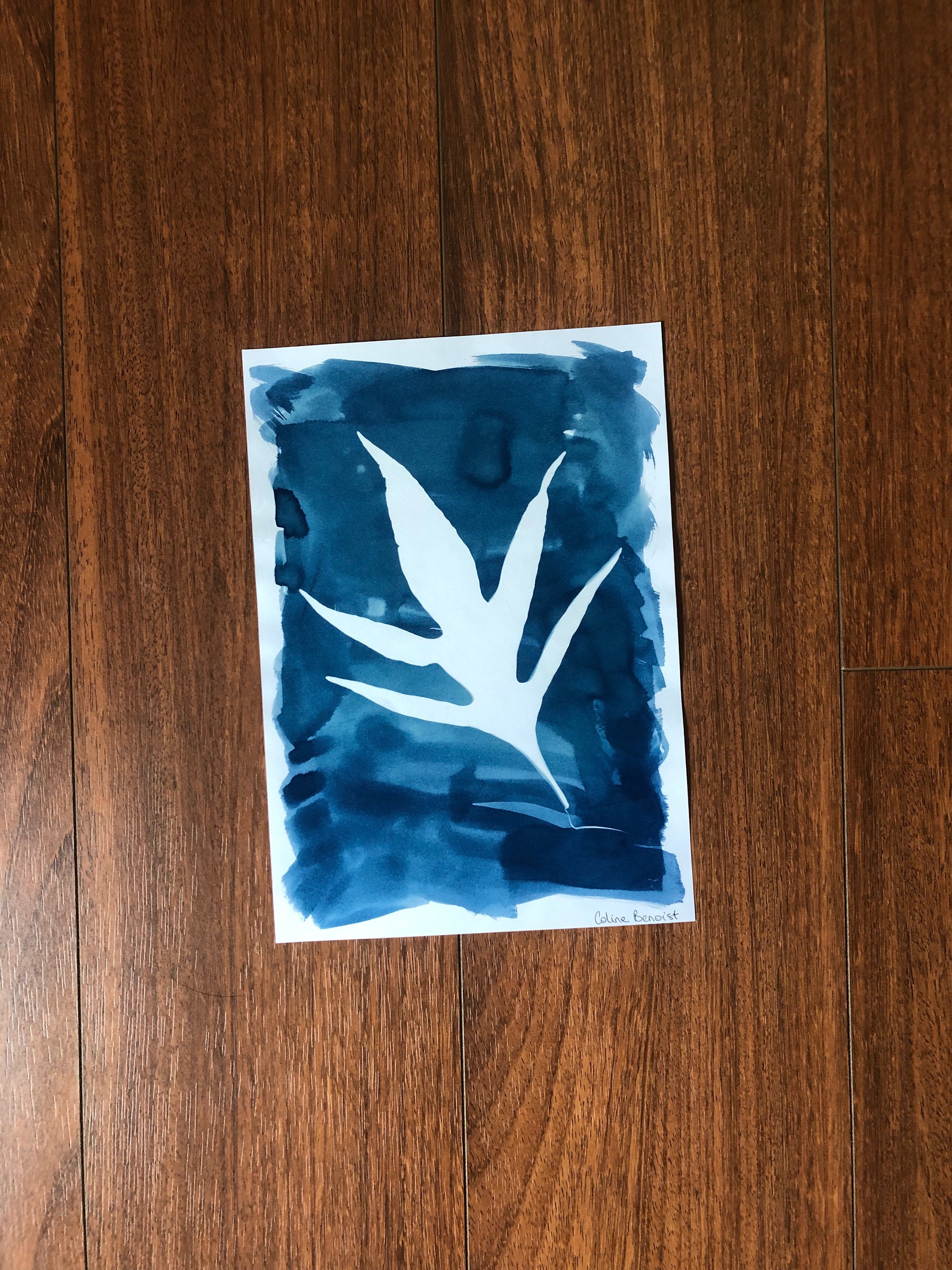 Cyanotype Fait à La Main - Indigo Design