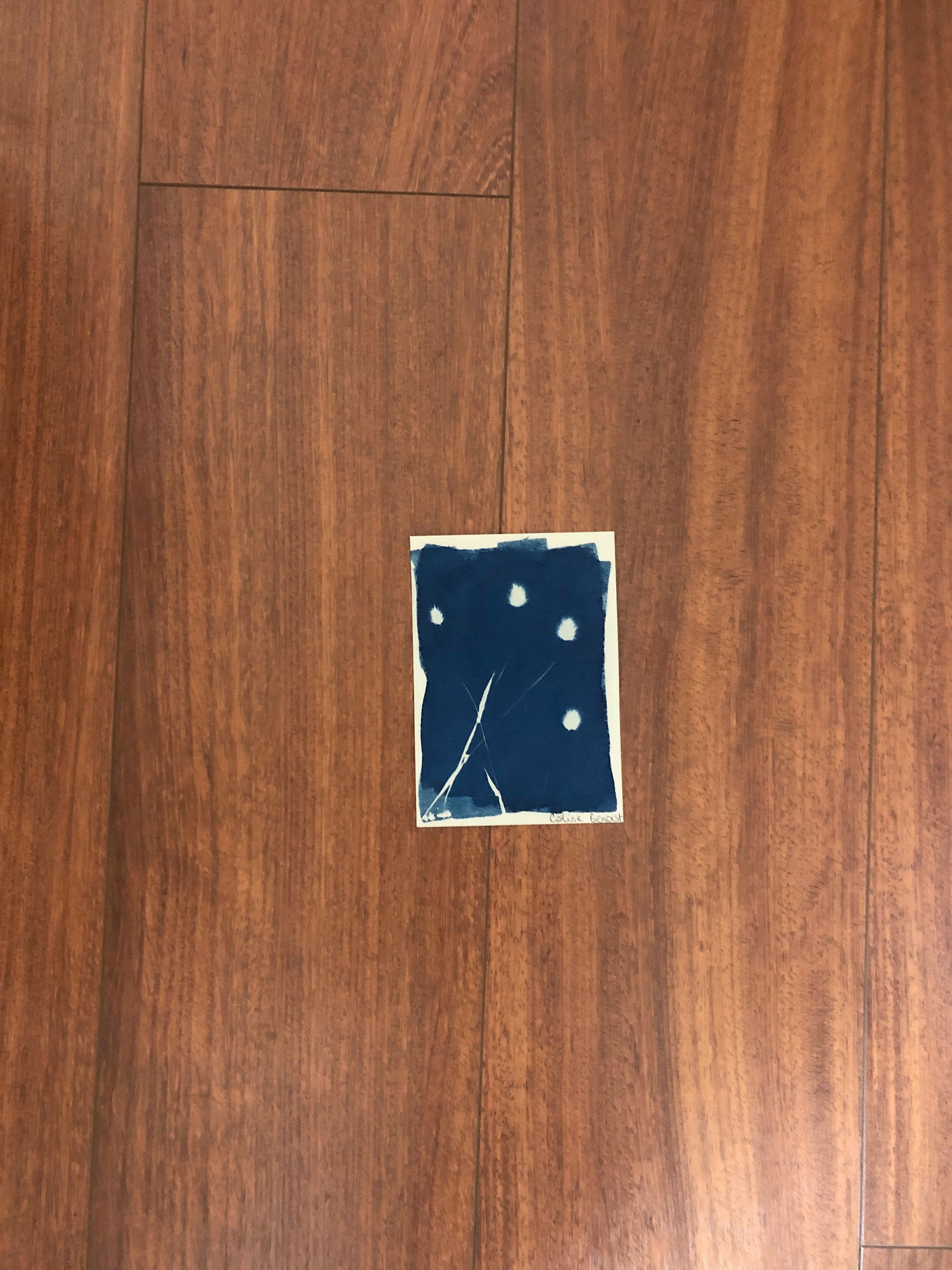 Cyanotype Fait à La Main - Design Marin