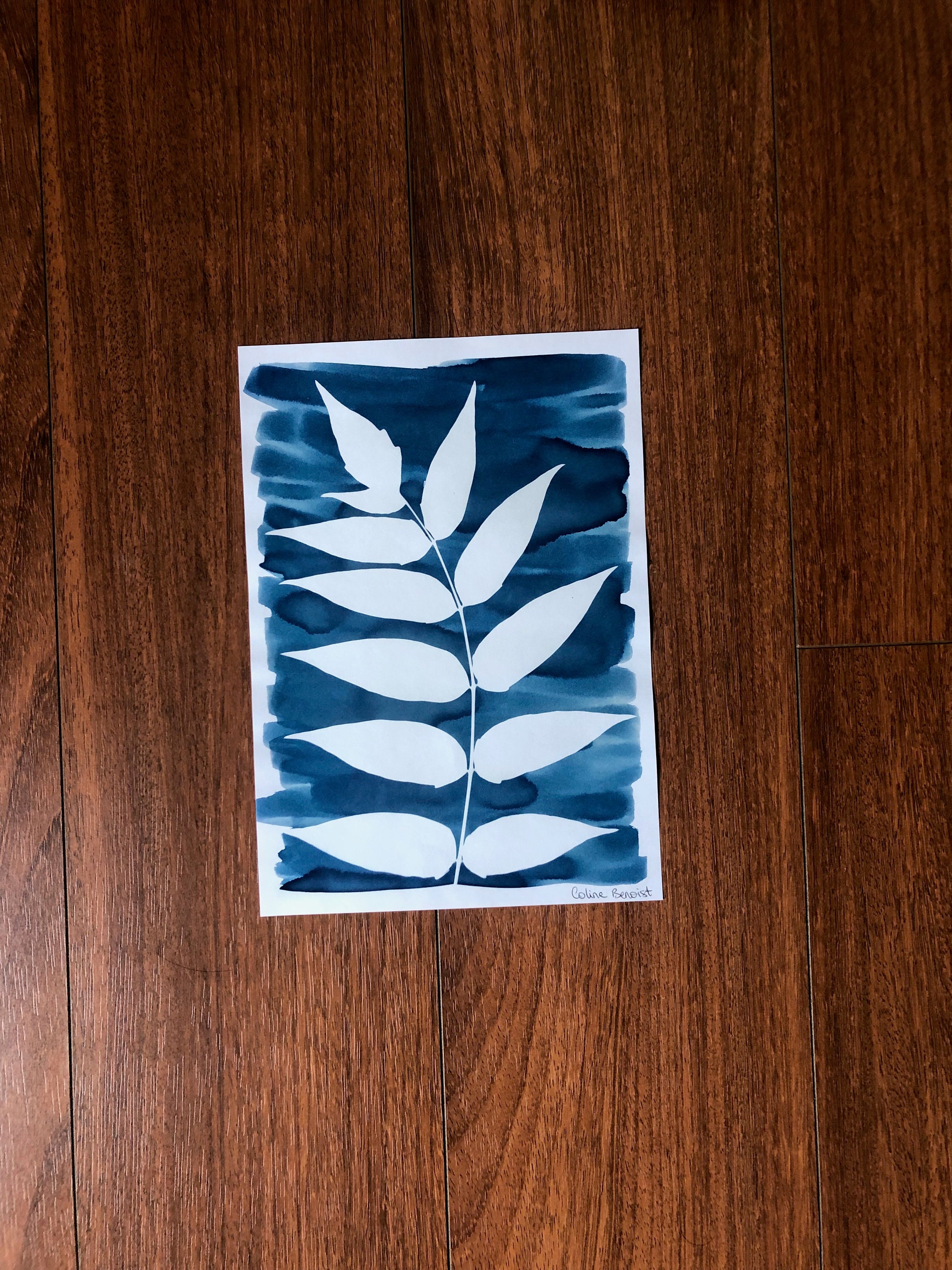 Cyanotype Fait à La Main - Klein Design