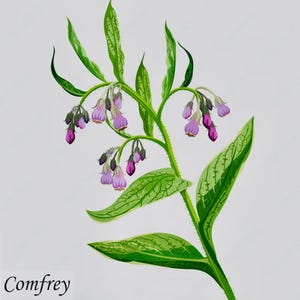 Smooth Move Tincture Blend