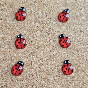 May include: Six small, red ladybug-shaped embellishments with black spots and black heads are arranged on a corkboard surface. The ladybugs are evenly spaced and appear to be made of a glossy material.