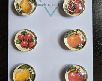 Imanes navideños de frutas azucaradas, de vidrio, redondos de 25 mm (1 pulgada), cabujón, decoración del hogar, botánica invernal, cítricos.