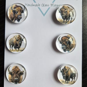 May include: Six round glass magnets with images of brown bison on a white background. The magnets are arranged in two rows of three. The text "Cabochon Design Studio" and "Handmade Glass Magnets" are printed on the background.