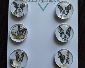 Boston Terrier Magnets, Button Pin, Glass, Cabochon, Fridge Magnets, Home Decor, Gift Idea
