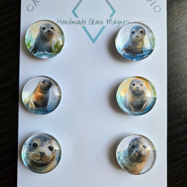 Seal Magnets, Sea Lion, Glass, Cabochon, Fridge Magnets, Home Decor, Gift Idea