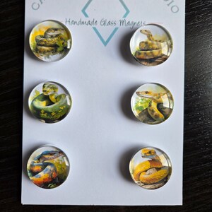 May include: Six round glass magnets with images of snakes on them. The magnets are arranged in two rows of three. The magnets are on a white background with the text "Cabochon Design Studio" and "Handmade Glass Magnets" printed on it.