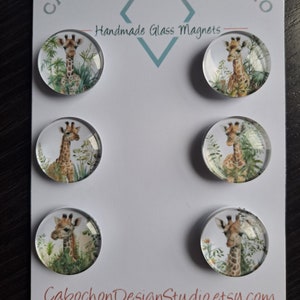 May include: Set of six round glass magnets featuring a giraffe with a white background and green foliage. The magnets are labeled "Cabochon Design Studio" and "Handmade Glass Magnets".