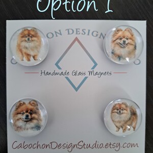 May include: Set of four round glass magnets featuring a watercolor painting of a Pomeranian dog. The magnets are white with a clear glass dome and are arranged in a square shape on a white background. The text "Handmade Glass Magnets" is printed in black below the magnets. The text "CabochonDesignStudio.etsy.com" is printed in brown at the bottom of the image.
